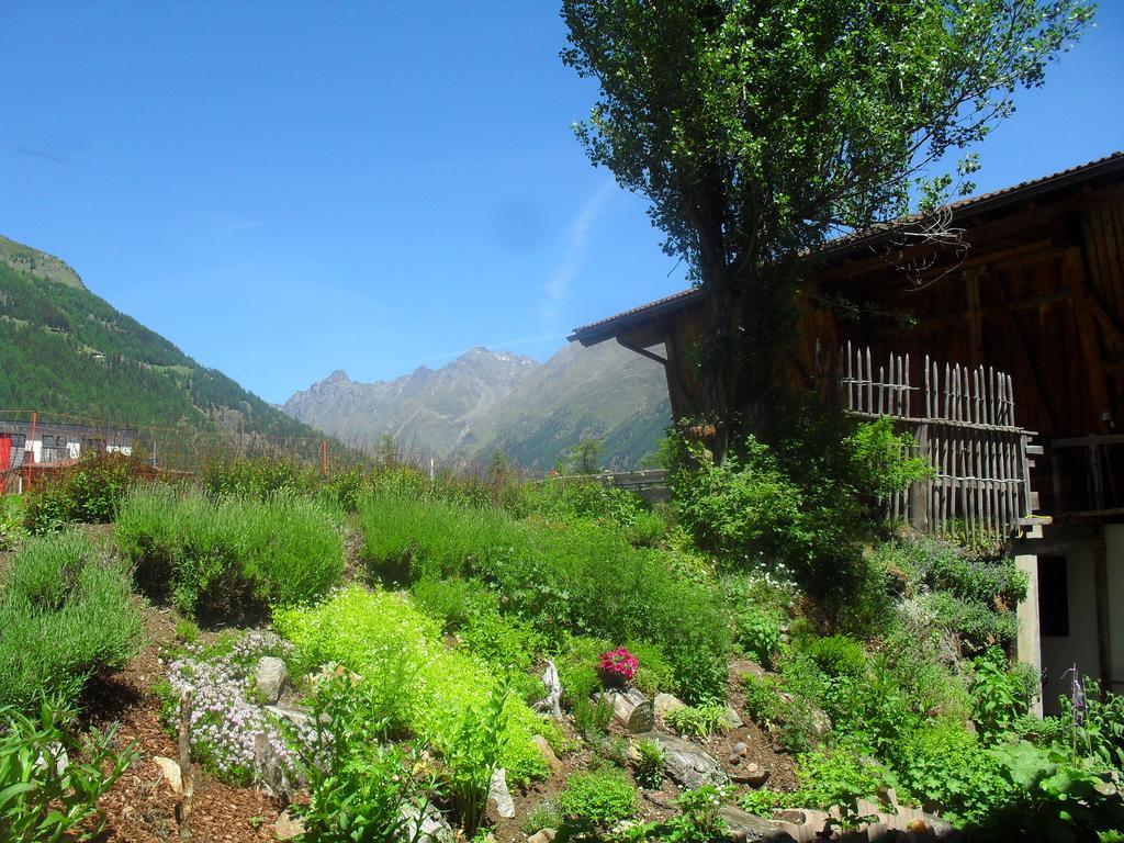 Appartement Almhof à Sölden Extérieur photo
